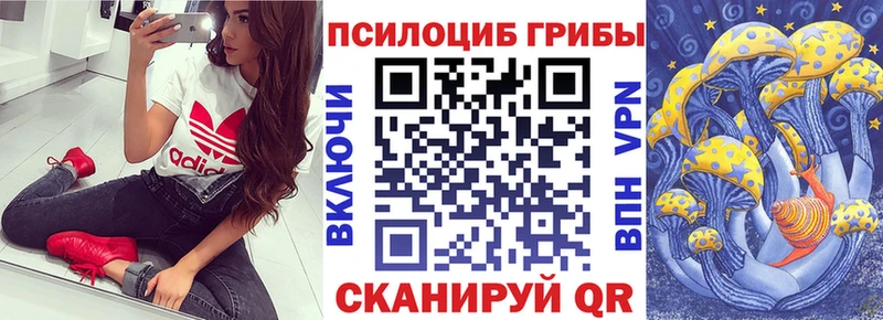 Псилоцибиновые грибы мухоморы  купить закладку  Зеленодольск 