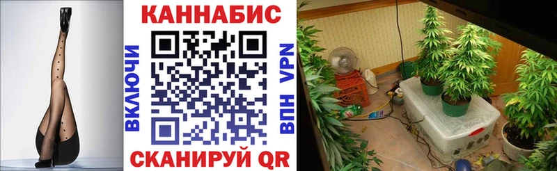 Каннабис планчик  сайты даркнета состав  Зеленодольск 